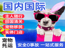 泸州云龙航空邮寄国际宠物托运 【国